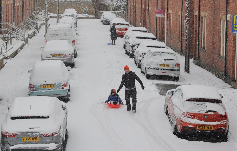 A child sledding down a snowy street.