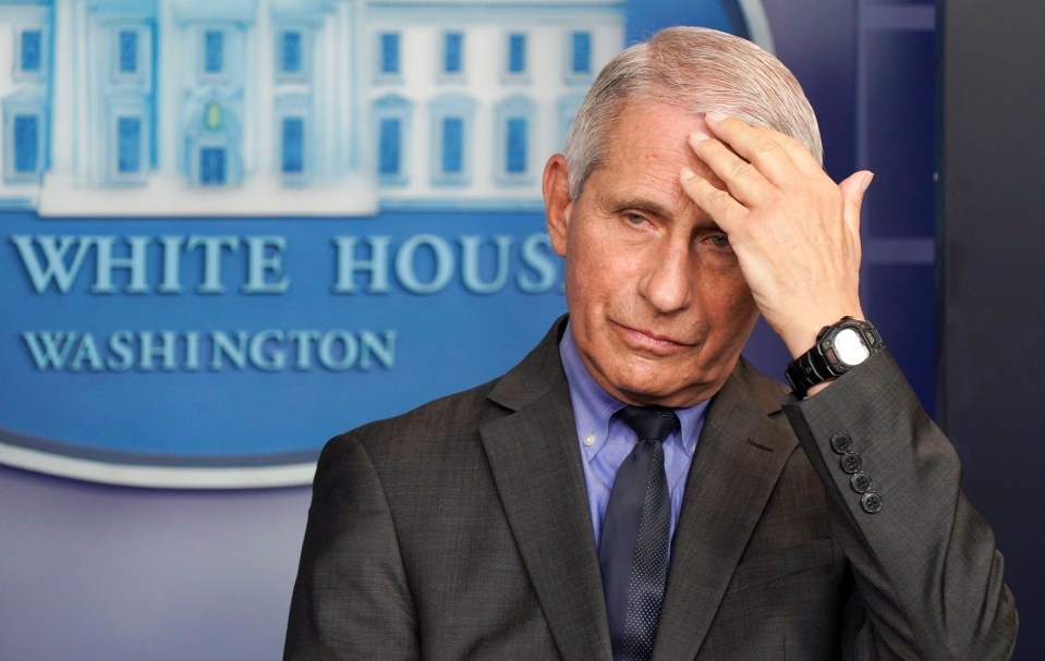 Dr. Anthony Fauci at a White House press briefing.