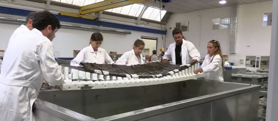 Archaeologists carefully lower a 2,600-year-old Phoenician shipwreck into a preservation tank.