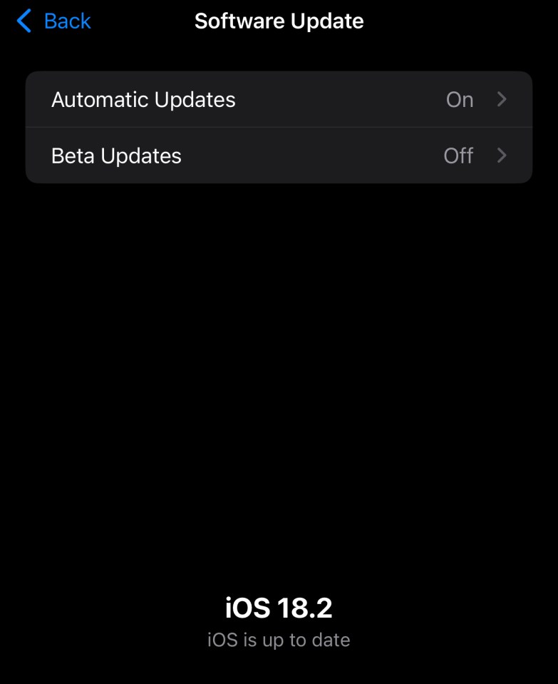 iOS 18.2 software update settings.