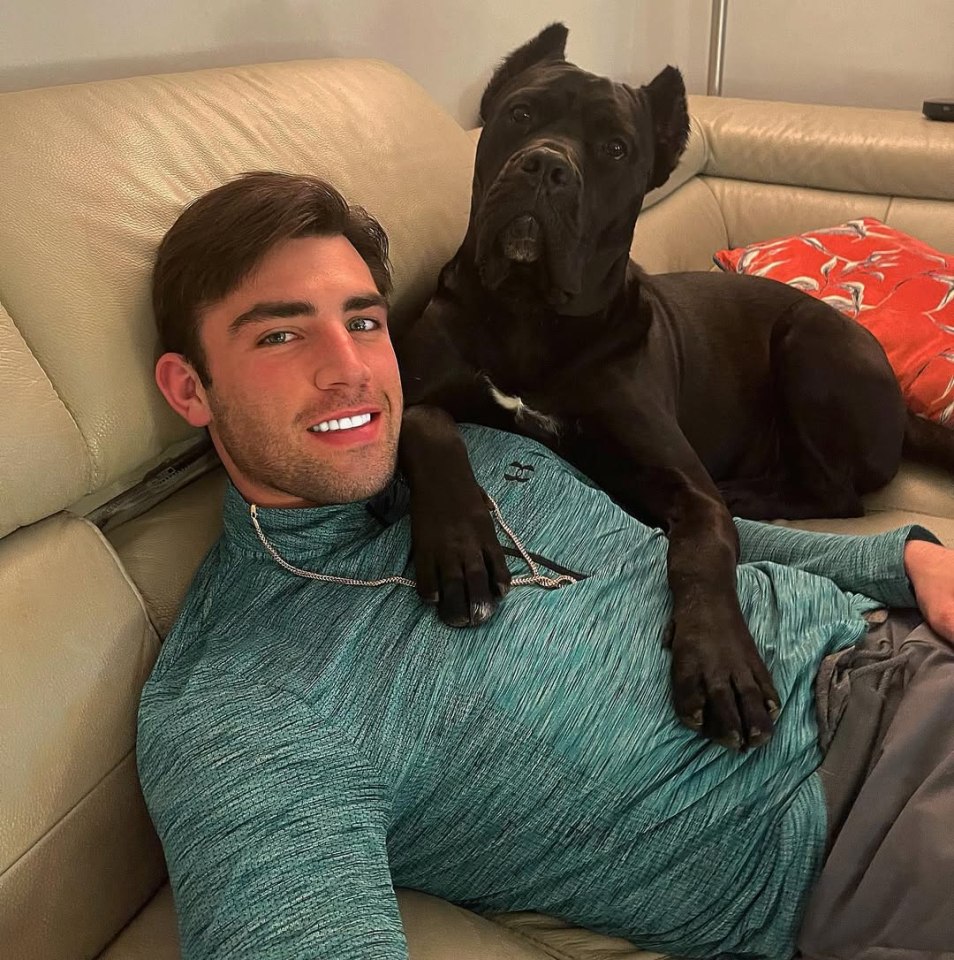 Man relaxing on a couch with his large black dog.