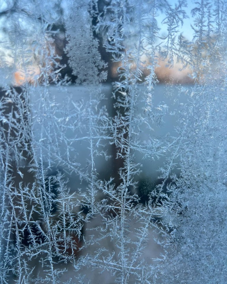 Frost patterns on a windowpane.