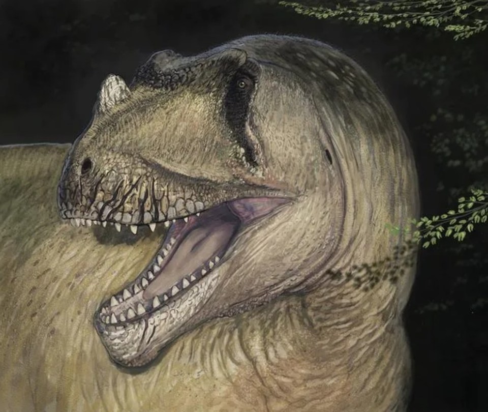 Illustration of a large dinosaur's head and neck.