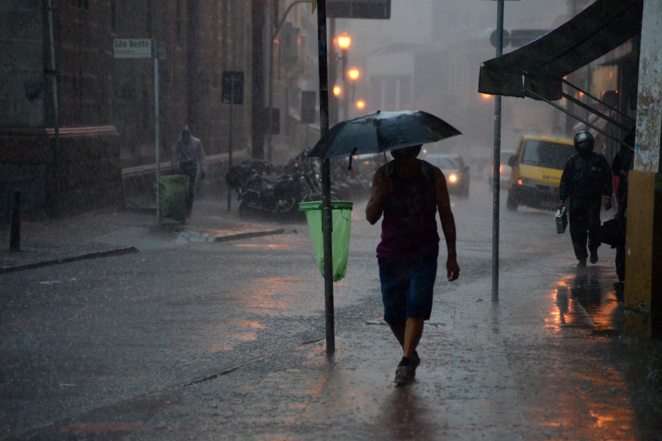 Person walking under an umbrella in the rain.