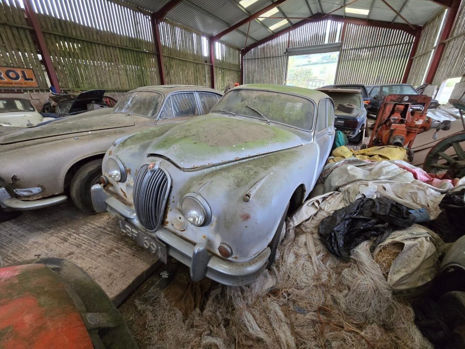 A barn filled with abandoned classic cars, including a Jaguar.