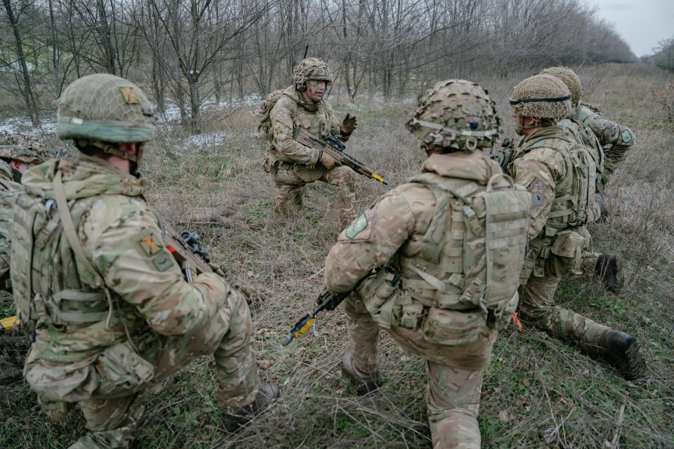 British soldiers conducting a military exercise in a forest.