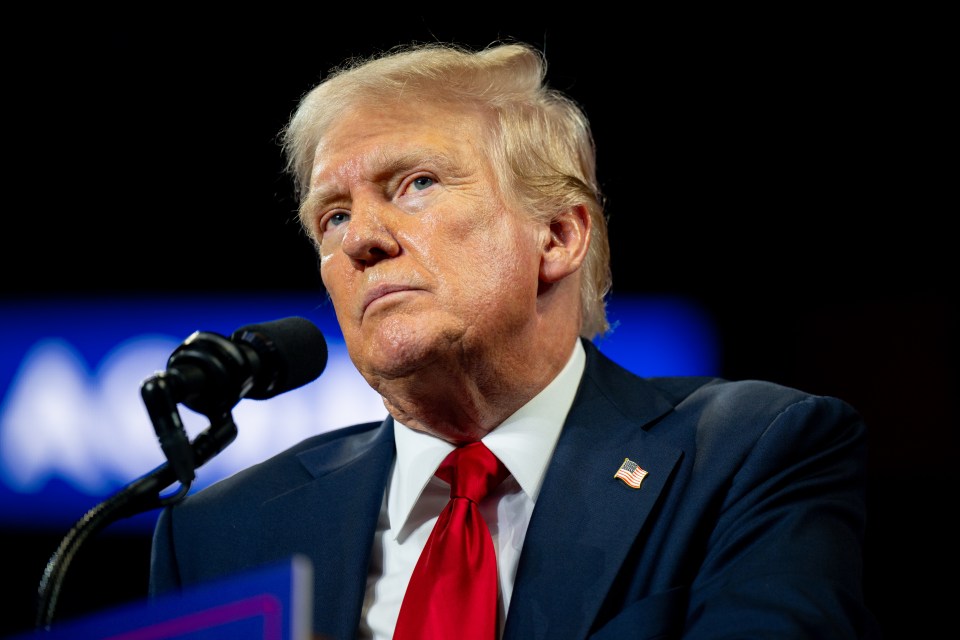 Donald Trump at a campaign rally.