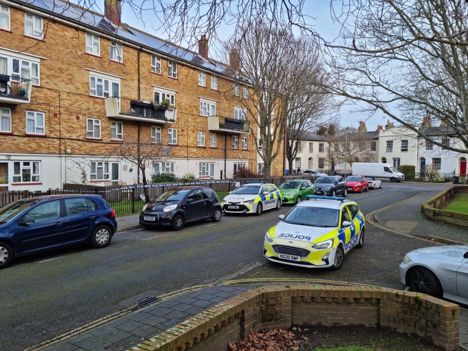 Police cars at a residential street scene.