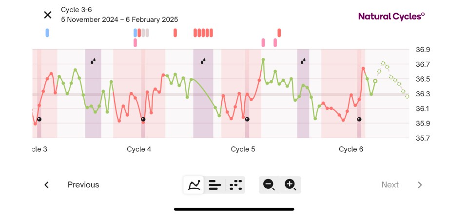 Basal body temperature chart showing cycles 3-6.