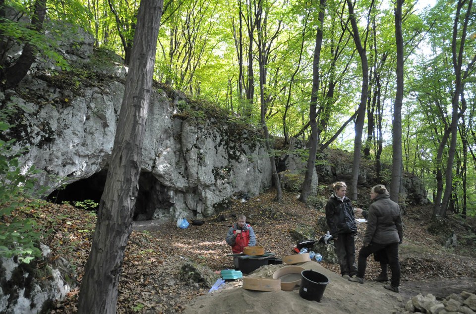 Archaeologists excavating a cave in a forest.