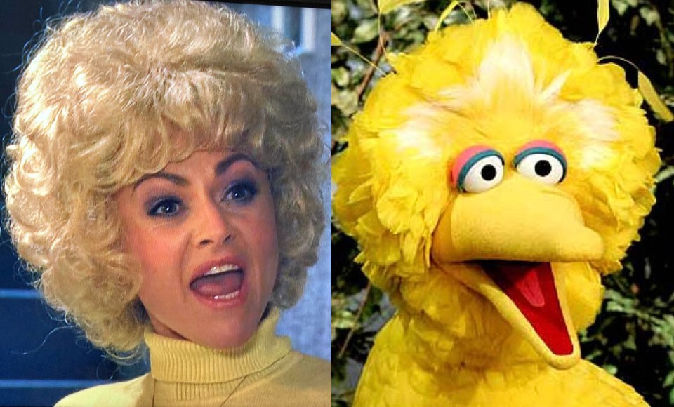 Jaime Winston, an Ally Ross lookalike, next to Big Bird.
