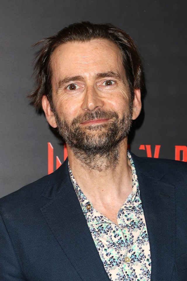 Headshot of David Tennant at a gala.