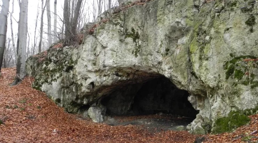 Cave in a forest showing evidence of cannibalism.