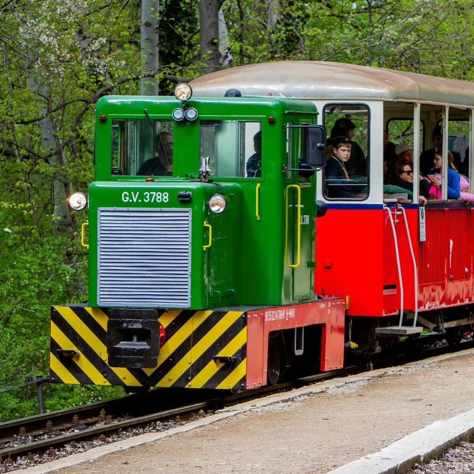 Children operating a quaint Hungarian railway train.