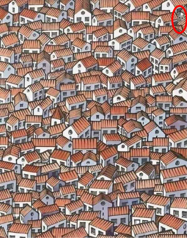 Illustration of a dense collection of houses with a hidden cat.