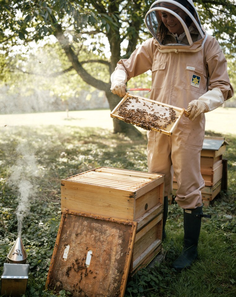 A woman in protective beekeeping gear inspects a honeycomb frame from a beehive.