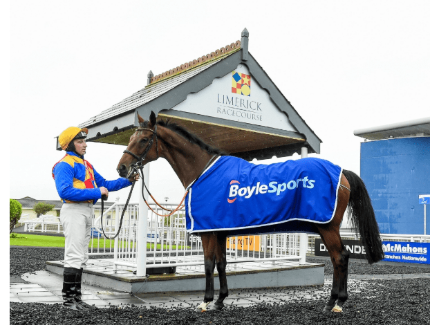 Jockey and racehorse at Limerick Racecourse.