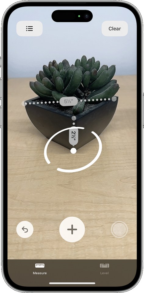 iPhone screen showing the Measure app measuring a succulent in a black pot.