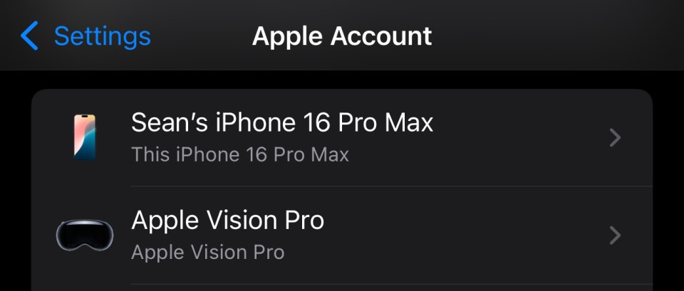 iPhone 16 Pro Max and Apple Vision Pro devices in Apple account settings.