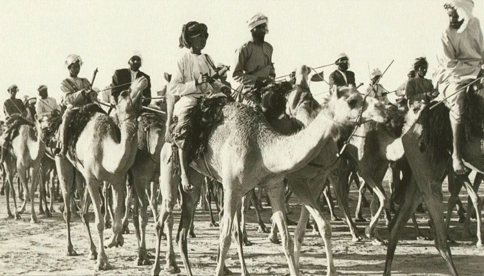Black and white photo of a camel caravan in Dubai.