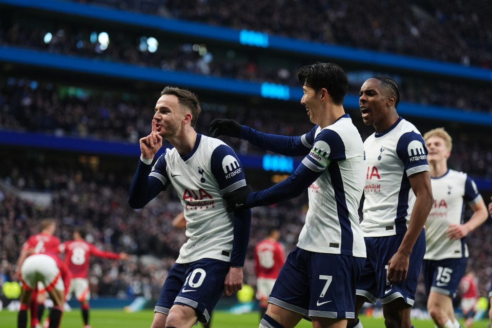 Tottenham Hotspur players celebrating a goal.
