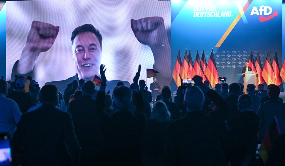 Elon Musk appearing on a large screen at an AfD election campaign event.