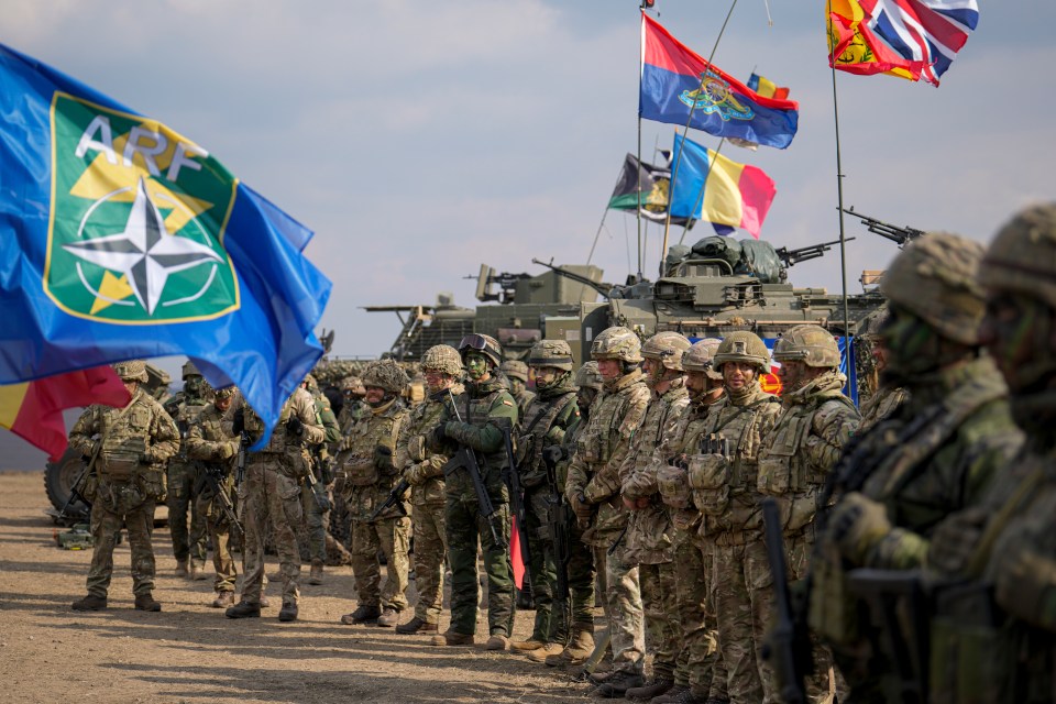 NATO troops standing in formation at a military exercise.