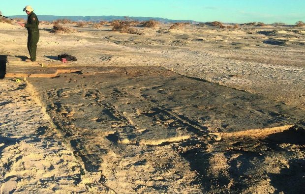 Archaeological site showing fossilized tracks from a prehistoric vehicle.
