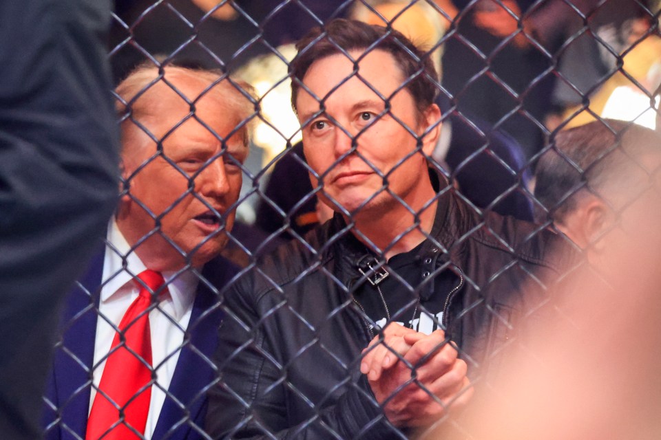 Donald Trump and Elon Musk at a UFC fight.