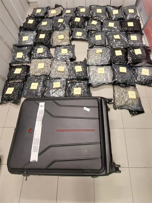 Seized drugs in bags next to a suitcase.