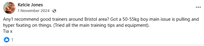 Facebook post requesting trainer recommendations for a 50-55kg boy with pulling and hyper fixation issues.