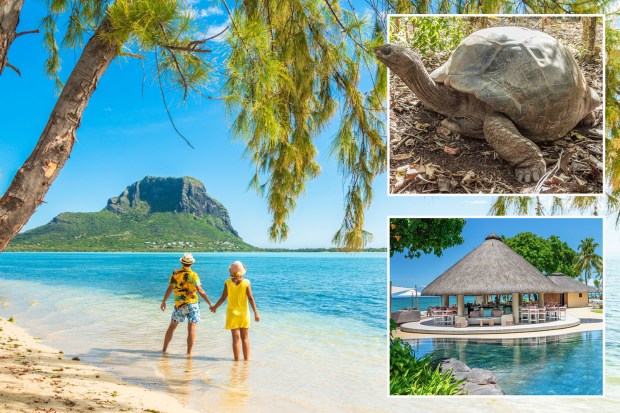 Collage of Mauritius: beach scene with couple, giant tortoise, and beach bar.