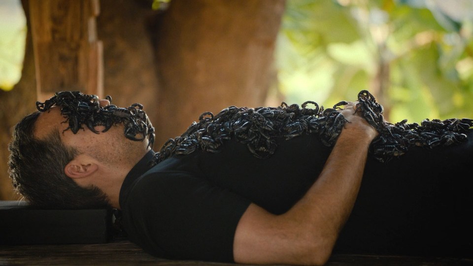 David Blaine covered in scorpions.