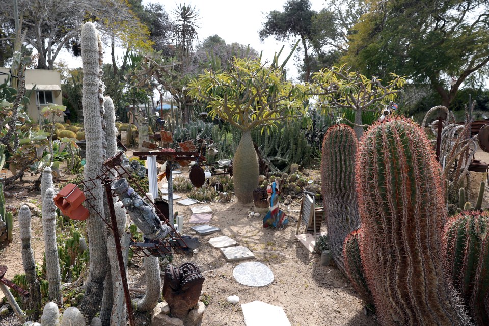 Cactus garden with repurposed metal objects in Kibbutz Nir Oz, Israel.