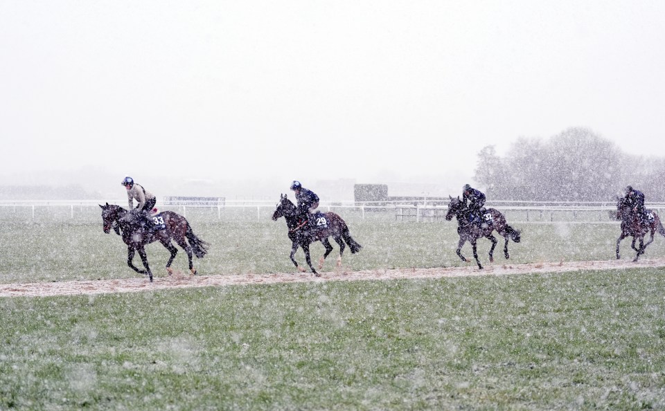 Horses race in the snow.