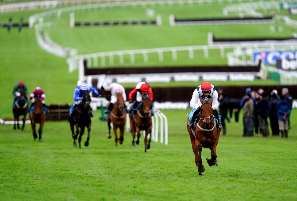 Jockey Paul Townend winning the Gallagher Novices' Hurdle at the Cheltenham Festival.
