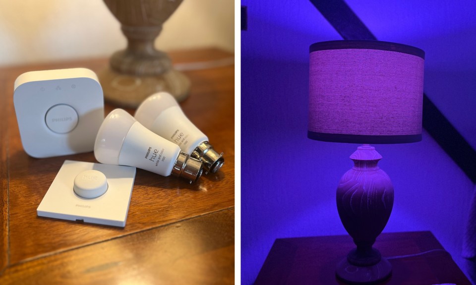 Philips Hue starter kit with bulbs and dimmer switch.