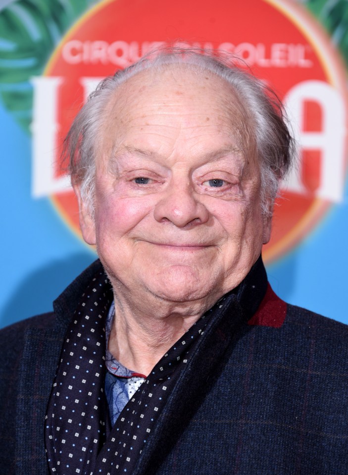 Headshot of David Jason at a Cirque du Soleil event.