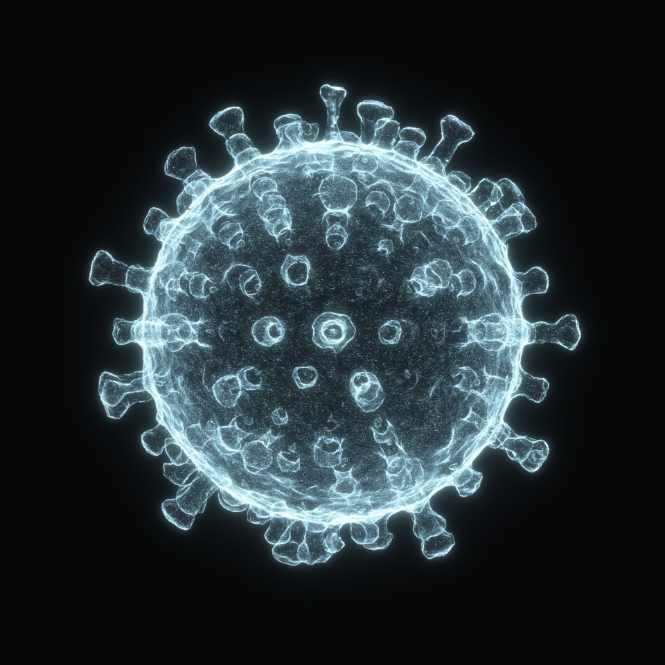 Illustration of a coronavirus particle.
