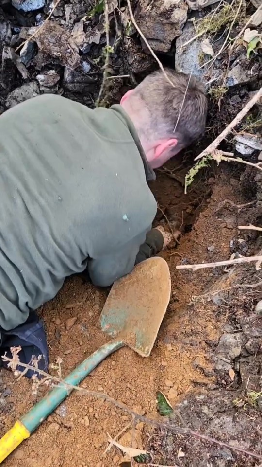 Person rescuing a dog from a hole in the ground.