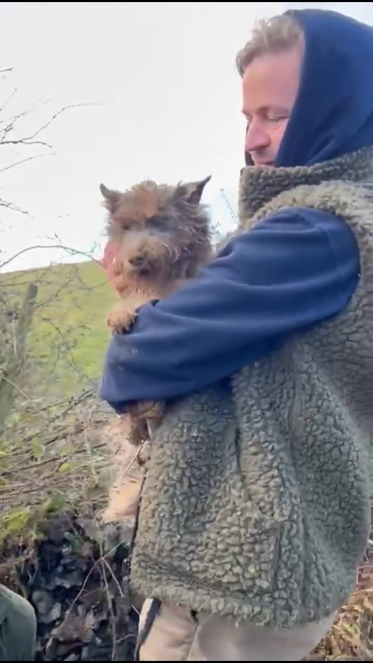 A man rescuing a terrier dog from underground.