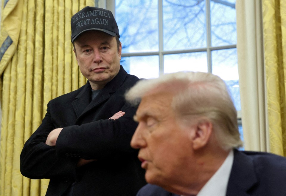 Elon Musk wearing a "Make America Great Again" hat, listens to Donald Trump.