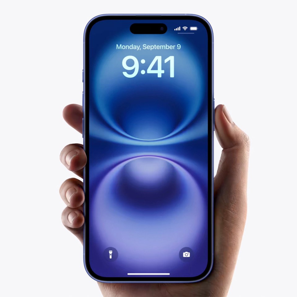 Hand holding purple iPhone.
