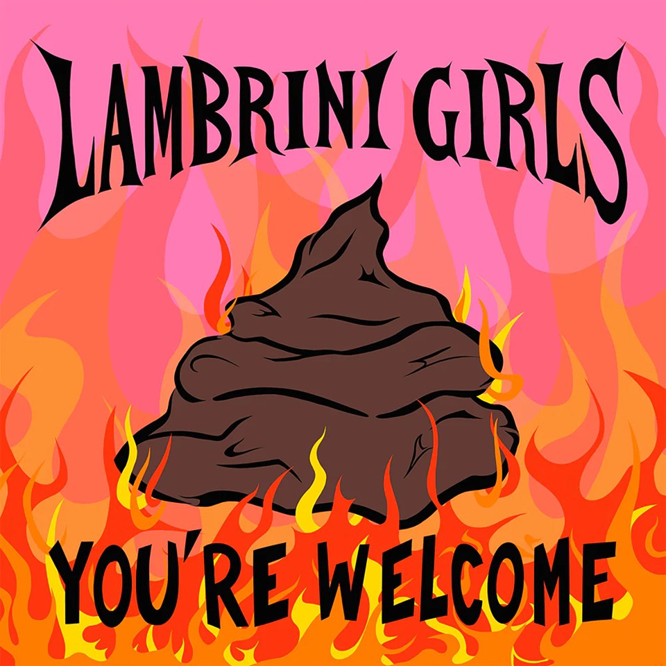 Illustration of a pile of feces engulfed in flames with the text "Lambrini Girls You're Welcome".