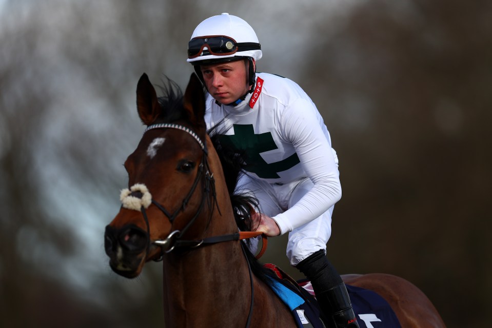 Jockey Levi Williams riding Super Den in a horse race.