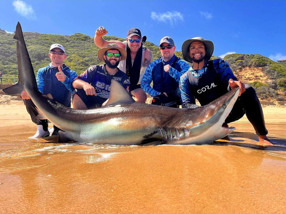 Fishermen posing with a large shark on a beach.