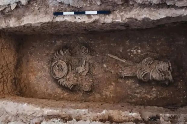 An image collage containing 1 images, Image 1 shows Archaeological excavation of a 1,500-year-old skeleton buried in chains