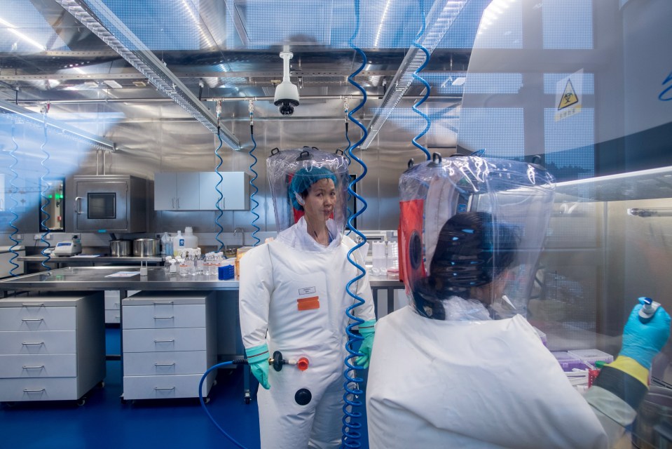 Two scientists in protective suits working in a P4 epidemiological laboratory.