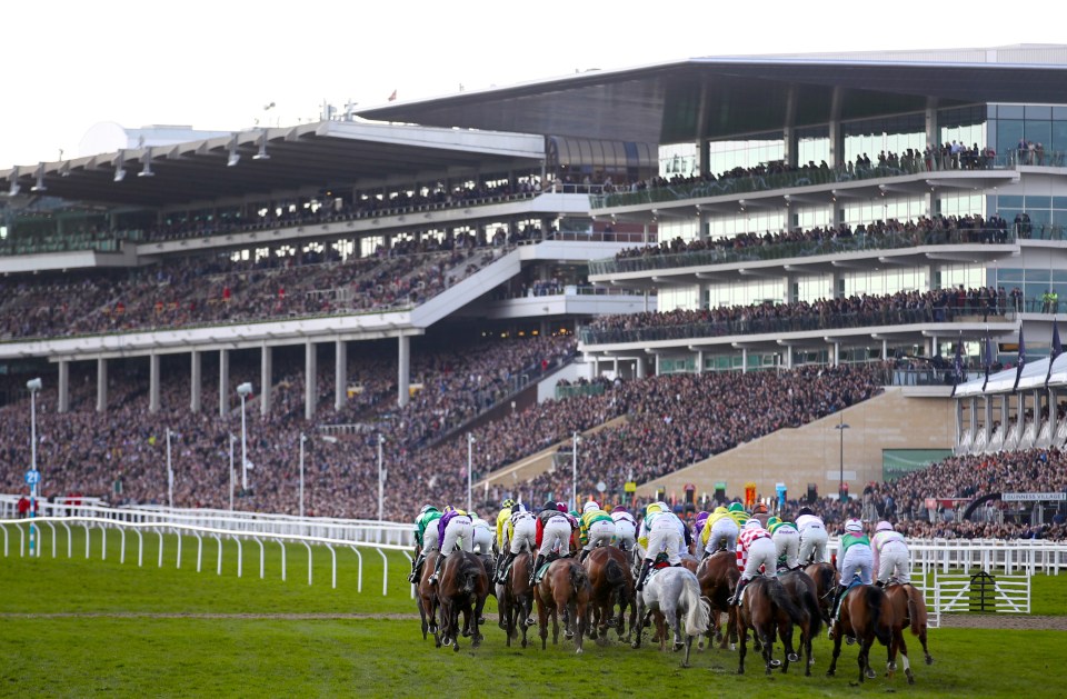 Horse race at Cheltenham Racecourse.