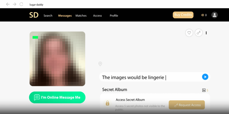 Screenshot of a Sugar Daddy profile showing a blurred photo, a secret album description, and a request access button.